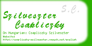 szilveszter csapliczky business card